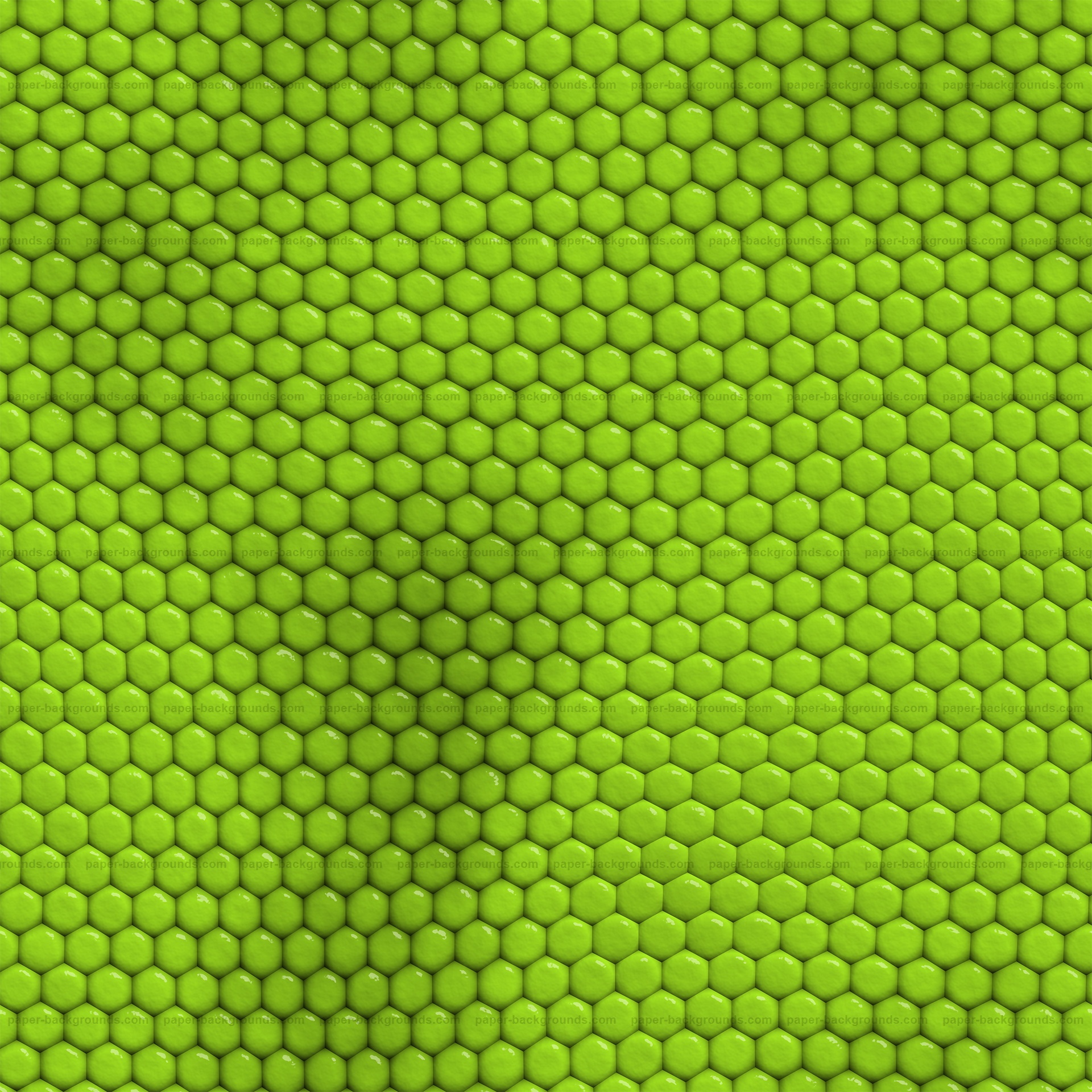 Seamless Green Iguana Reptile Skin Texture HD